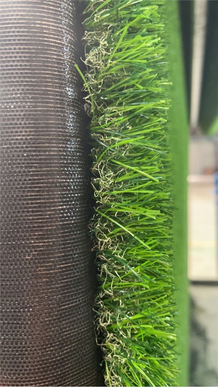 leisure grass10