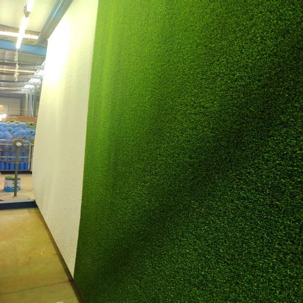 green white carpets